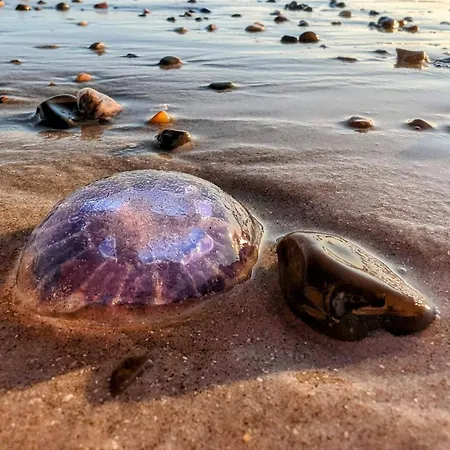 Tranquil Retreat - By Traum Vakantiehuis *