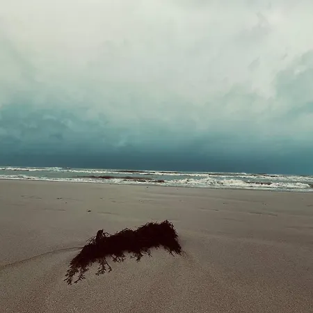 Tranquil Retreat - By Traum Løkken