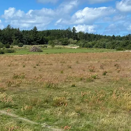 Tranquil Retreat - By Traum * Løkken