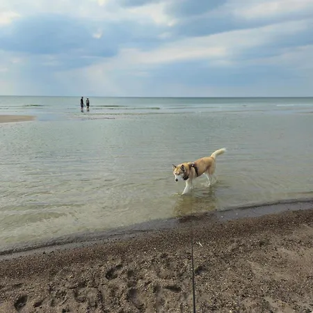 Tranquil Retreat - By Traum *