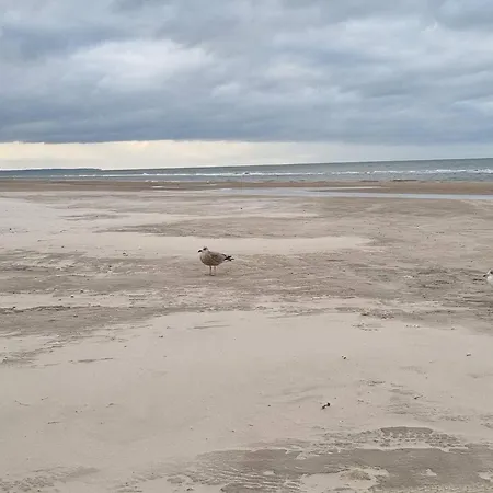 Tranquil Retreat - By Traum